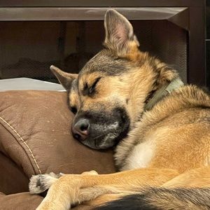 Meet your Posher, Jaime